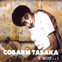 Sobaki Tabaka : In the Brain..!